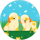 Canan Ekici profil fotoğrafı