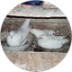 Gencay Sagdic profil fotoğrafı
