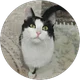 Funda profil fotoğrafı