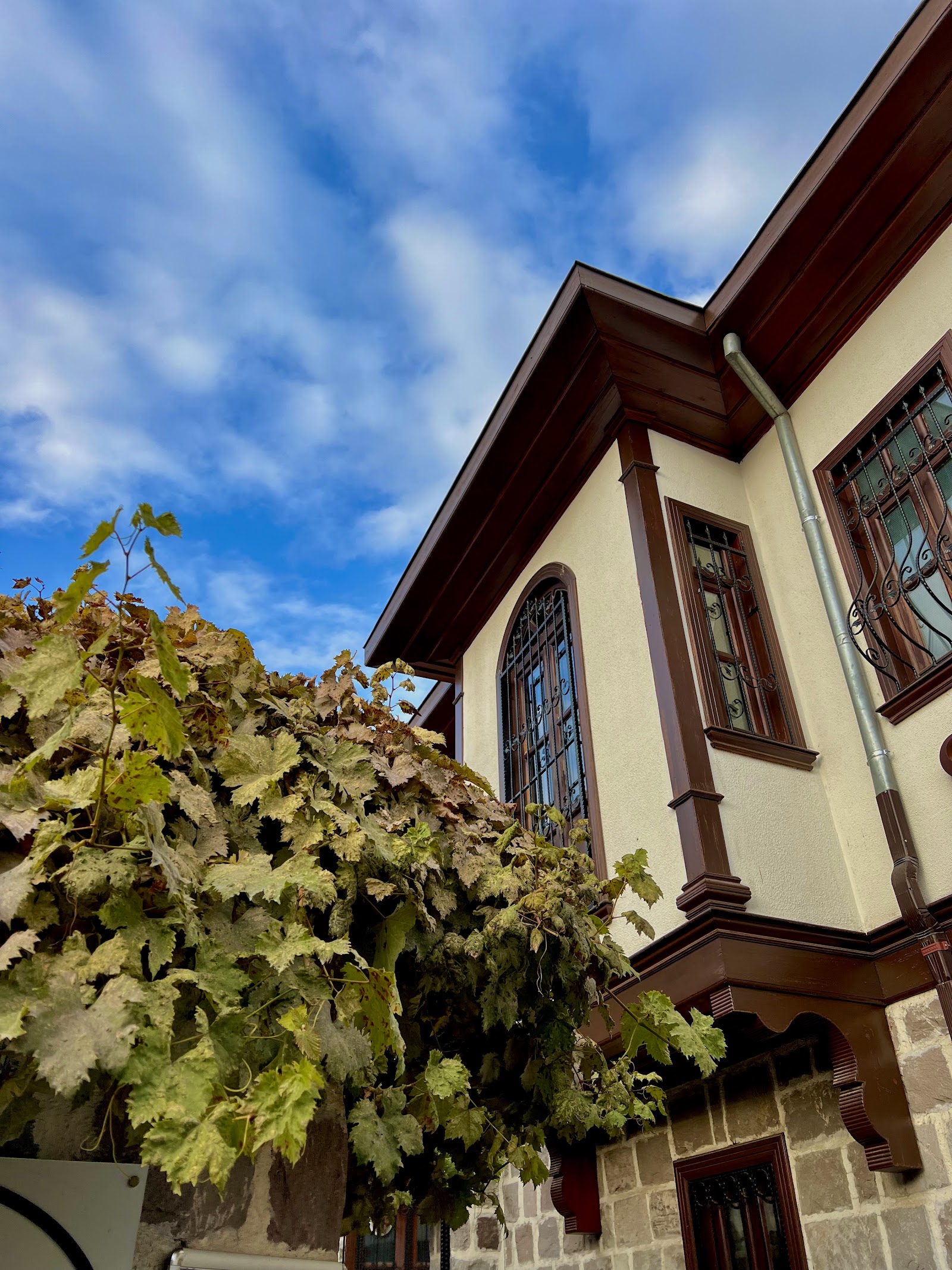 Masal Kına Konağı
